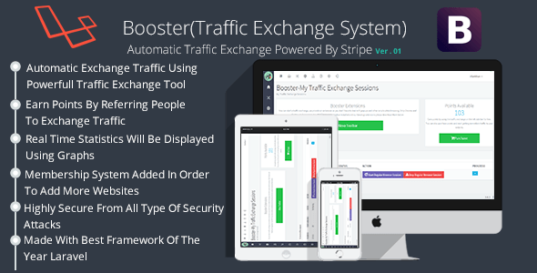 دانلود اسکریپت افزایش بازدید Booster Traffic Exchange System