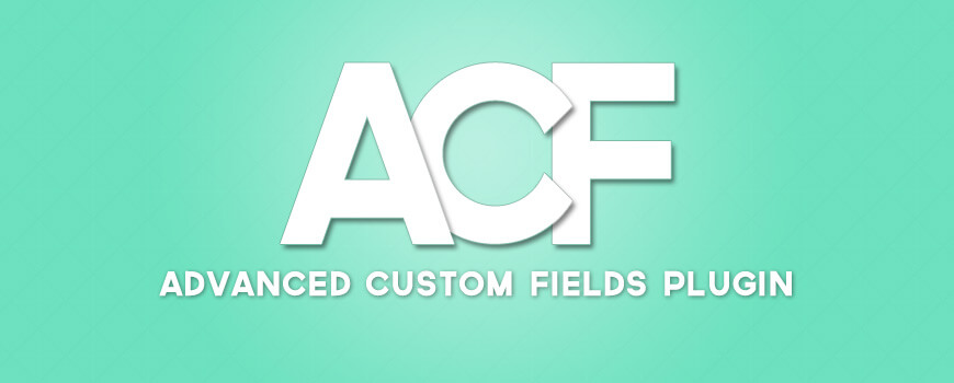 افزونه Advanced Custom Fields​